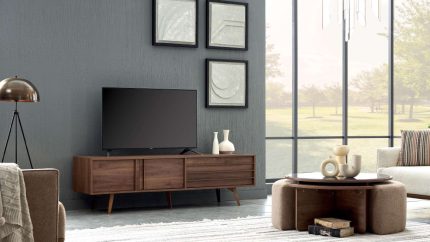 Ares Tv Unit