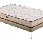Slept Mattress